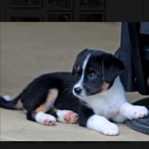 Meet your Posher, Vita